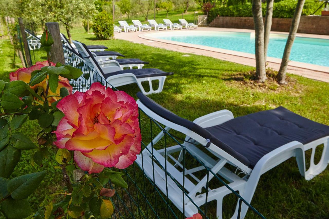 Agriturismo Ca Lo Spelli Hotel Guasticce ภายนอก รูปภาพ